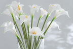 J-LINE BOUQUET CALLA LILY 8 PIECES PLASTIC WHITE SMALL - Tuincentrum Lopik