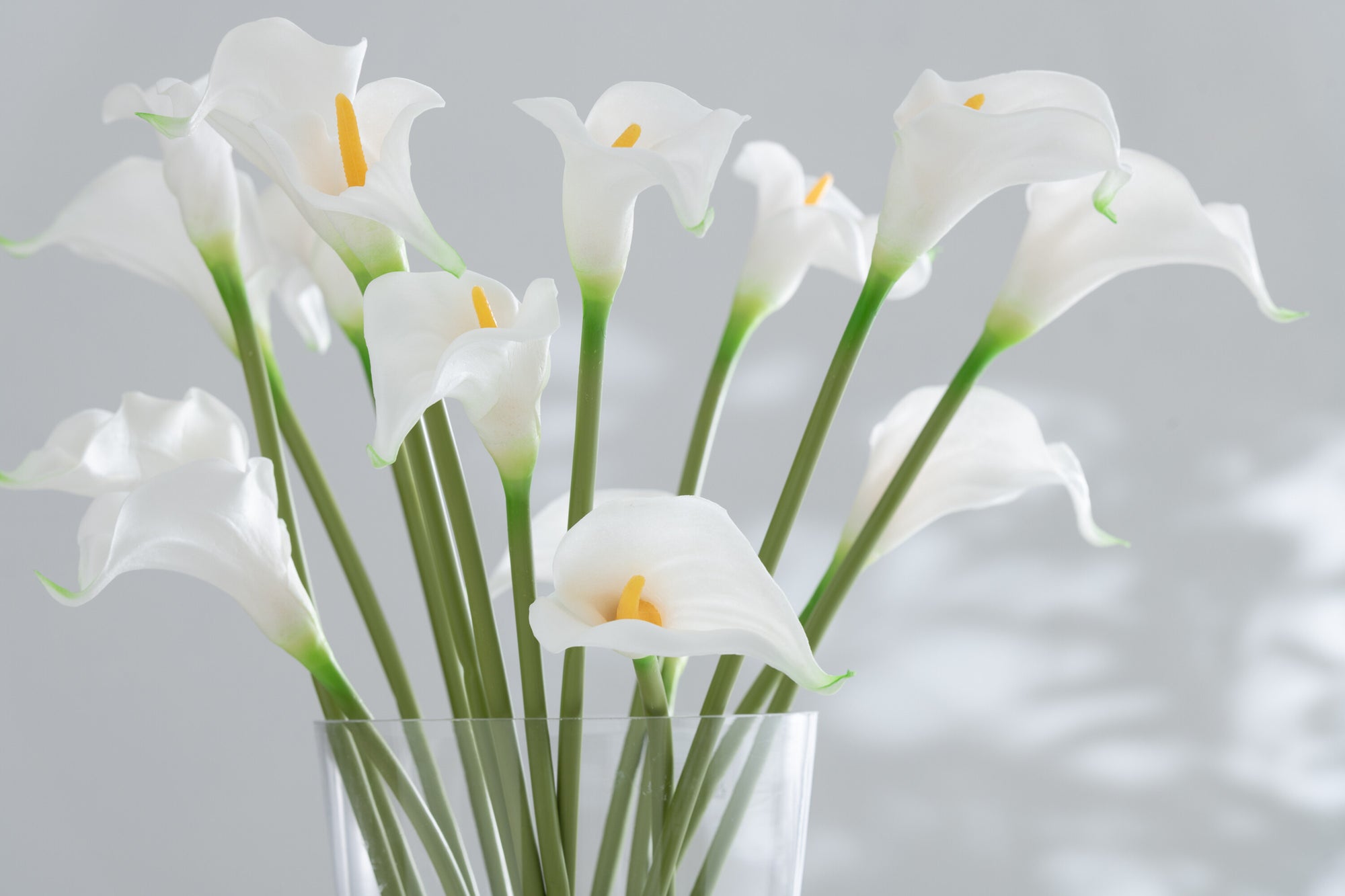 J-LINE BOUQUET CALLA LILY 8 PIECES PLASTIC WHITE SMALL - Tuincentrum Lopik