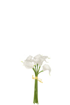 J-LINE BOUQUET CALLA LILY 8 PIECES PLASTIC WHITE SMALL - Tuincentrum Lopik