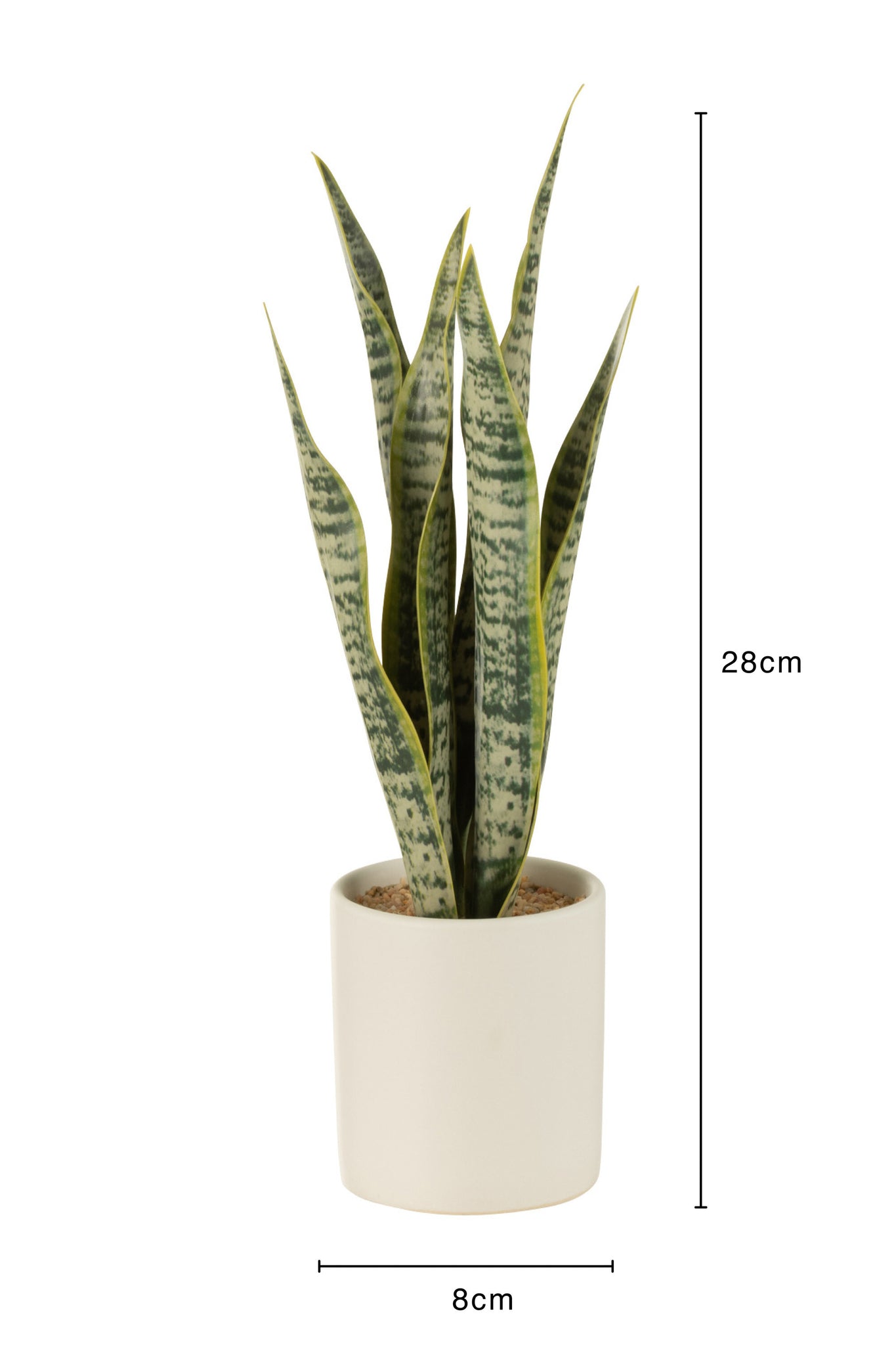 J-LINE KUNSTPLANT SANSEVIERIA IN PVC POT GROEN SMALL - Tuincentrum Lopik