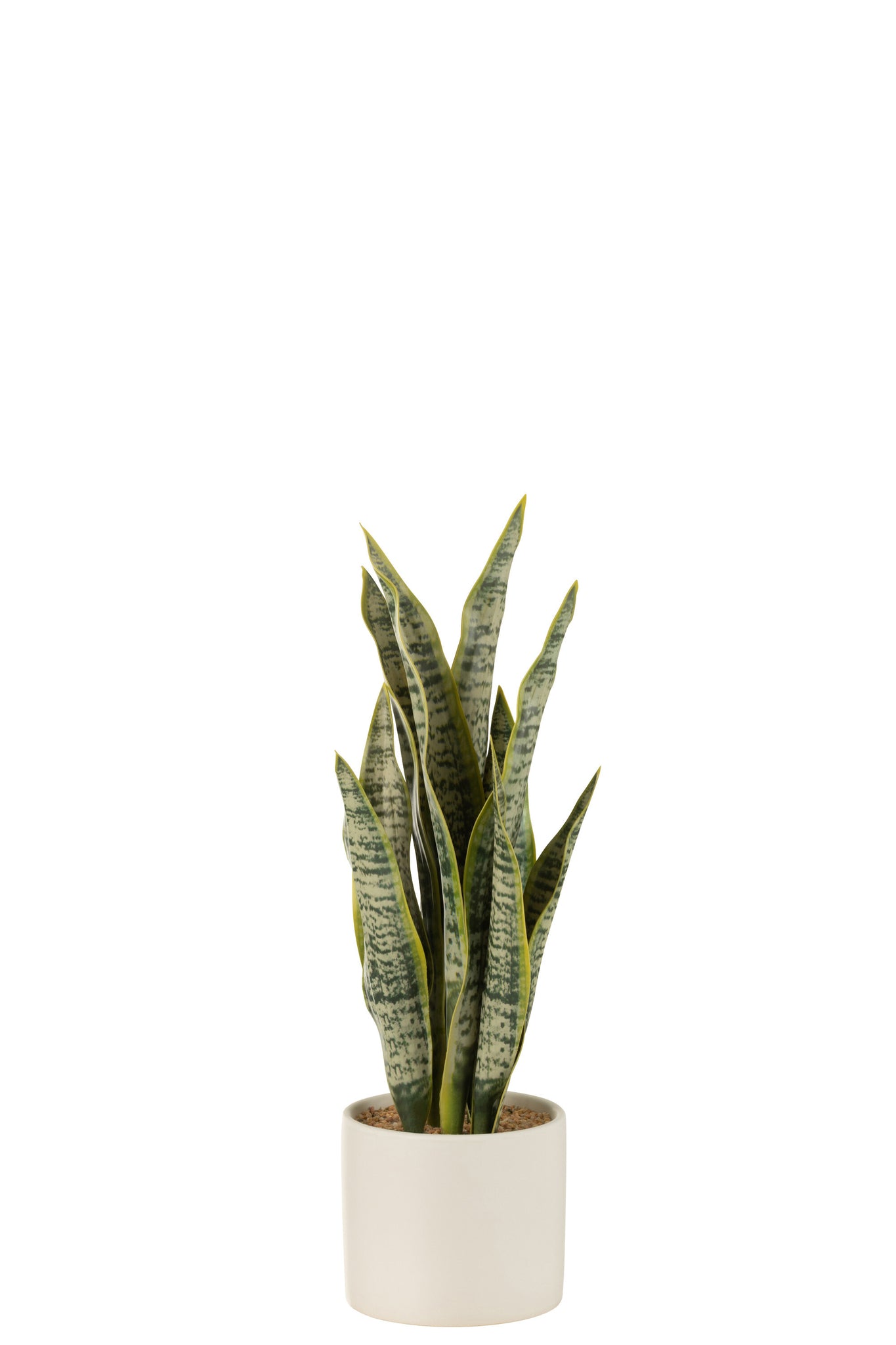 J-LINE KUNSTPLANT SANSEVIERIA IN PVC POT GROEN MEDIUM - Tuincentrum Lopik