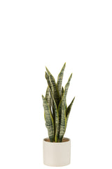 J-LINE KUNSTPLANT SANSEVIERIA IN PVC POT GROEN MEDIUM - Tuincentrum Lopik