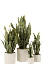 J-LINE KUNSTPLANT SANSEVIERIA IN PVC POT GROEN EXTRA LARGE - Tuincentrum Lopik