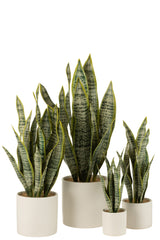 J-LINE KUNSTPLANT SANSEVIERIA IN PVC POT GROEN EXTRA LARGE - Tuincentrum Lopik
