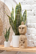 J-LINE KUNSTPLANT SANSEVIERIA IN PVC POT GROEN EXTRA LARGE - Tuincentrum Lopik