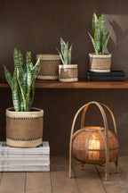 J-LINE KUNSTPLANT SANSEVIERIA IN PVC POT GROEN EXTRA LARGE - Tuincentrum Lopik