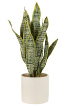 J-LINE KUNSTPLANT SANSEVIERIA IN PVC POT GROEN EXTRA LARGE - Tuincentrum Lopik