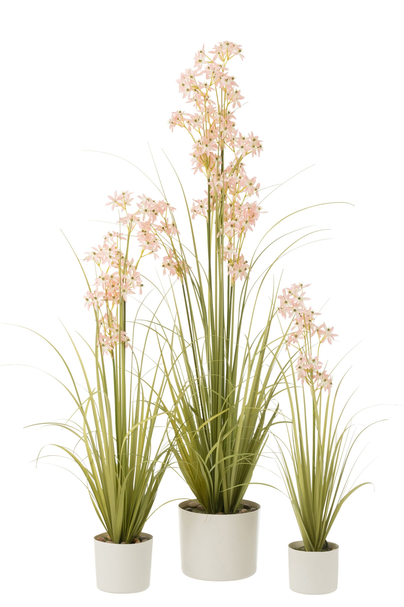 J-LINE ALLIUM IN POT PLASTIC GREEN/LIGHT PINK LARGE