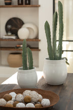J-LINE KUNSTCACTUS 3-DELIG IN PLASTIC POT GROEN SMALL - Tuincentrum Lopik
