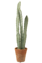J-LINE KUNSTCACTUS 3-DELIG IN PLASTIC POT GROEN LARGE - Tuincentrum Lopik