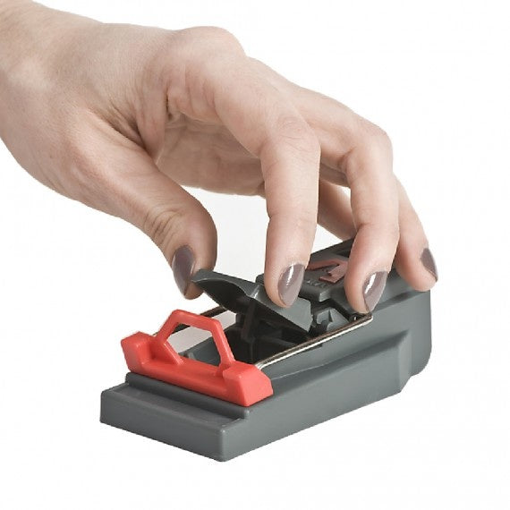 VICTOR MUIZENVALLEN SET VAN 3 STUKS