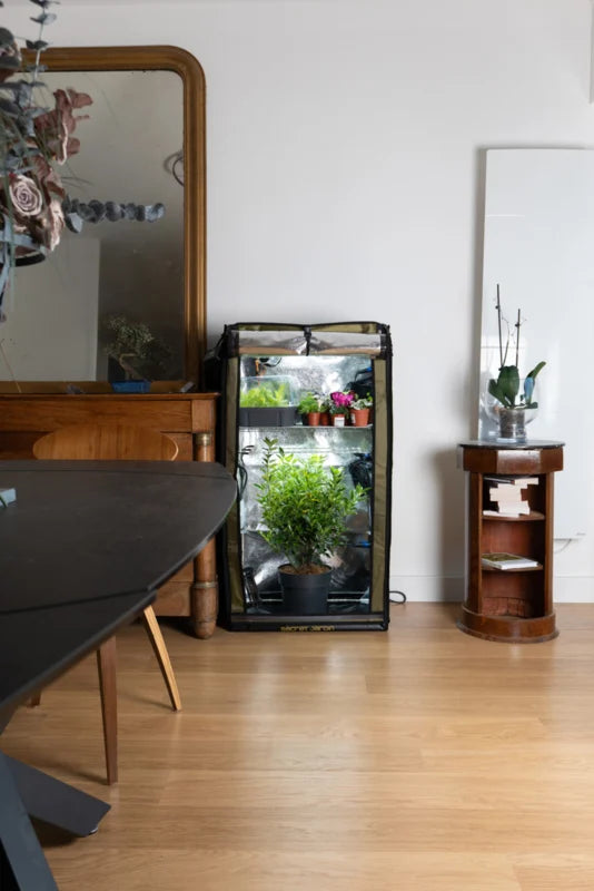 SECRET JARDIN GR60 THE ORIGINAL 60 COMPLETE KWEEKTENT SET MET 60 WATT VERLICHTING, CIRCULATIE EN AFZUIGING 60 X 40 X 116 CM