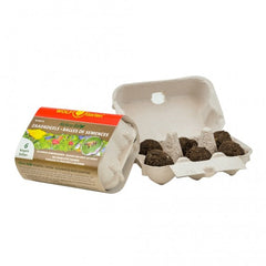  N-KSO 6 NATURA BIO ZAADKOGELS 6 STUKS