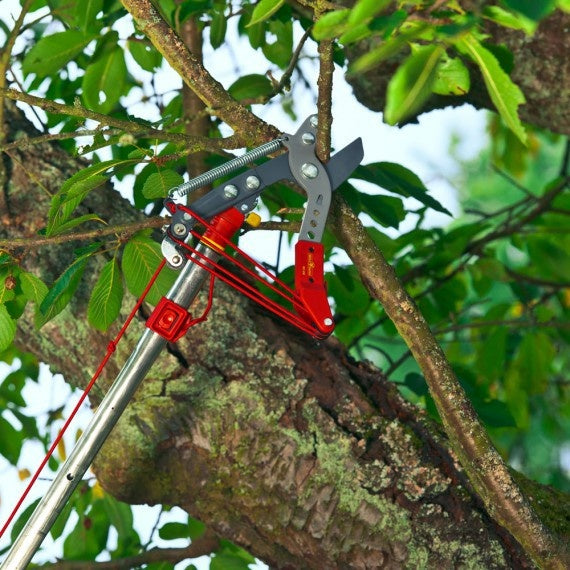  MULTI-STAR RC-VM BOOMSCHAAR VARIO