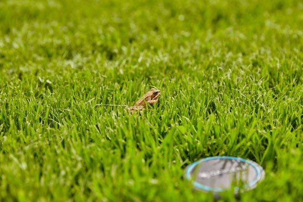  BODEMVOCHTIGHEIDSSENSOR VOOR BESPROEIINGSCOMPUTER