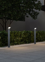 TRIO PADLAMP PEARL LED MET BEWEGINGSSENSOR ANTRACIET 100 CM