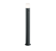 TRIO PADLAMP HOOSIC MET BEWEGINGSSENSOR ANTRACIET 80 CM