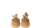 Bird+Squirrel On Acorn Porcelain Brown Small Assortment Of 2 - Tuincentrum Lopik