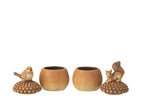 Bird+Squirrel On Acorn Porcelain Brown Small Assortment Of 2 - Tuincentrum Lopik