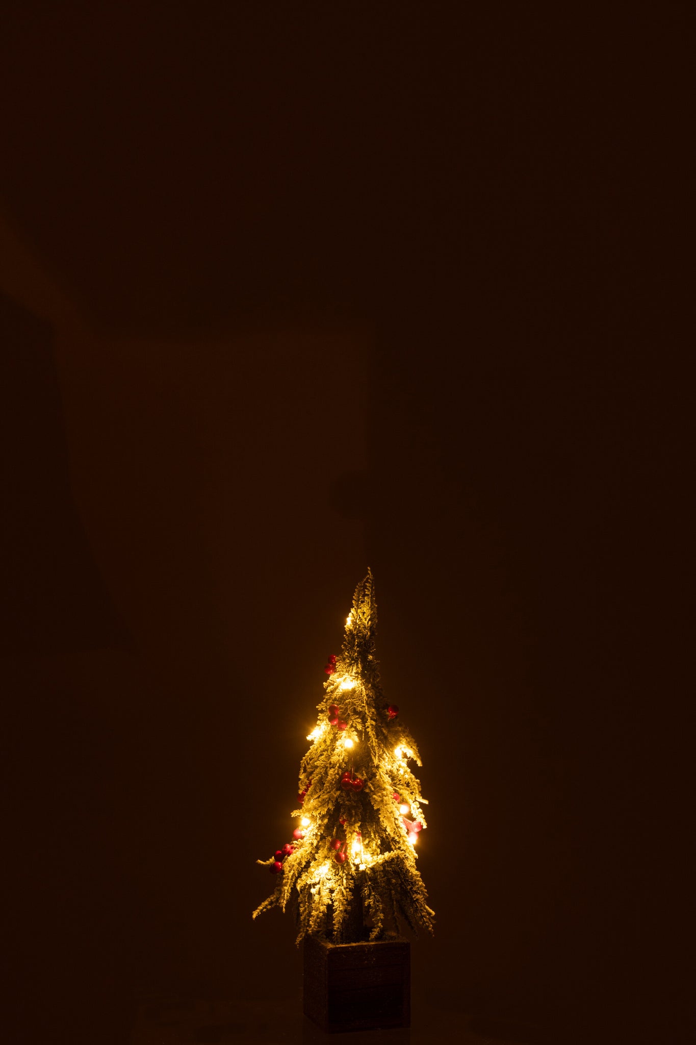J-LINE KERSTBOOM + LED PLASTIC SNEEUW GROEN/ROOD KLEIN - Tuincentrum Lopik