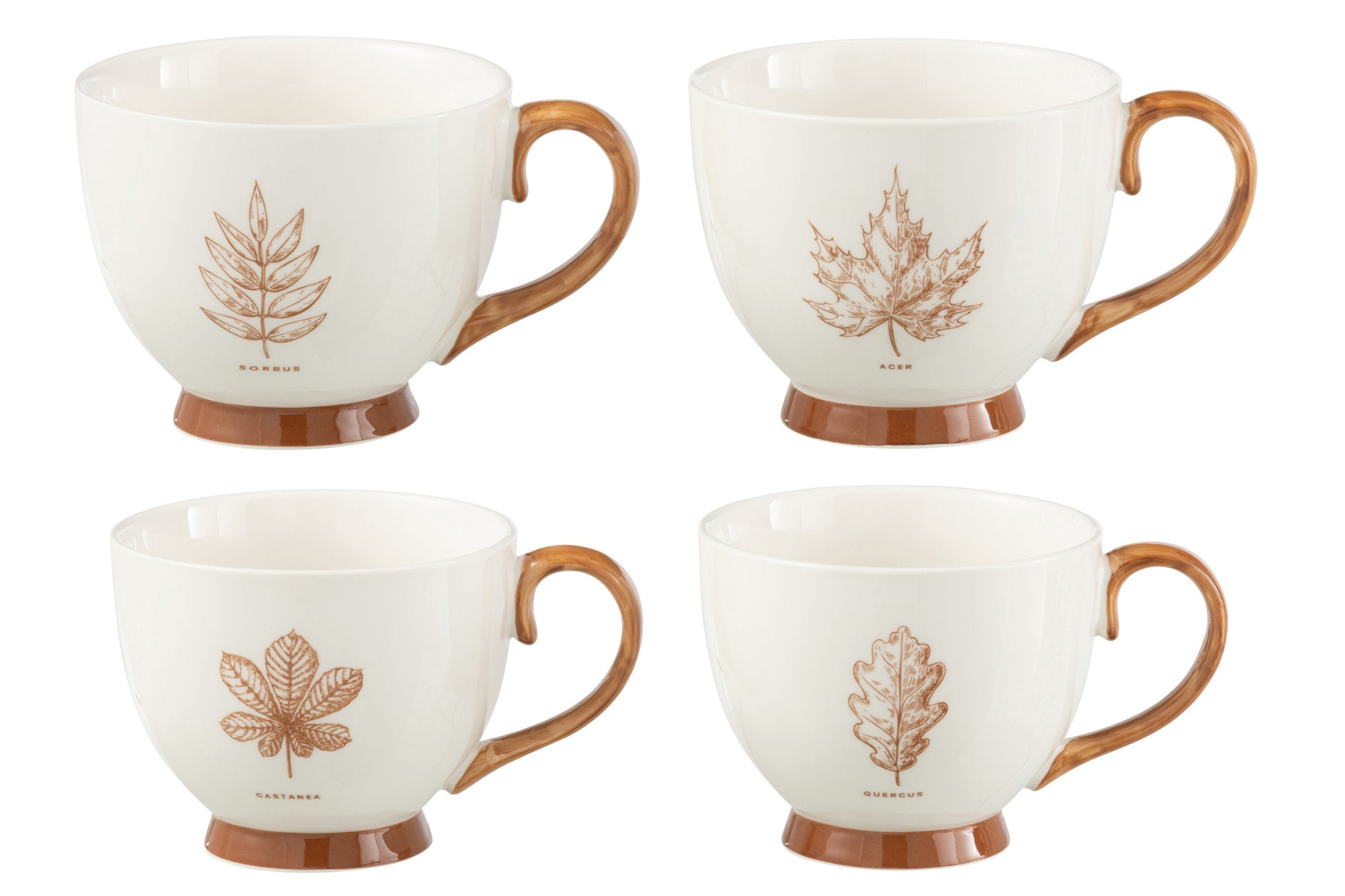 J-LINE SET 2 JUMBO MOKKEN BLAD WINDOWBOX KERAMIEK BRUIN ASSORTIMENT - Tuincentrum Lopik