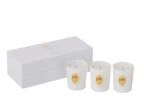 J-LINE SET 3 GEURKAARSEN SKULL NUIT BLANCHE WIT 16 UUR - Tuincentrum Lopik