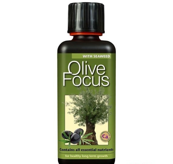 GROWTH TECHNOLOGY OLIVE FOCUS 500 ML