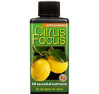 CITRUS FOCUS 300 ML