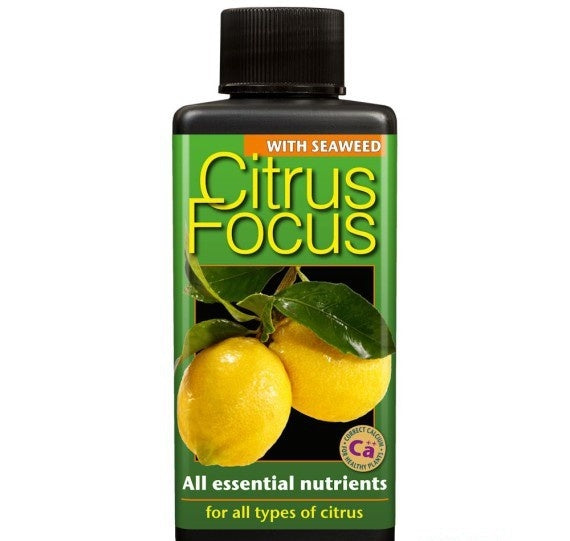 CITRUS FOCUS 100 ML