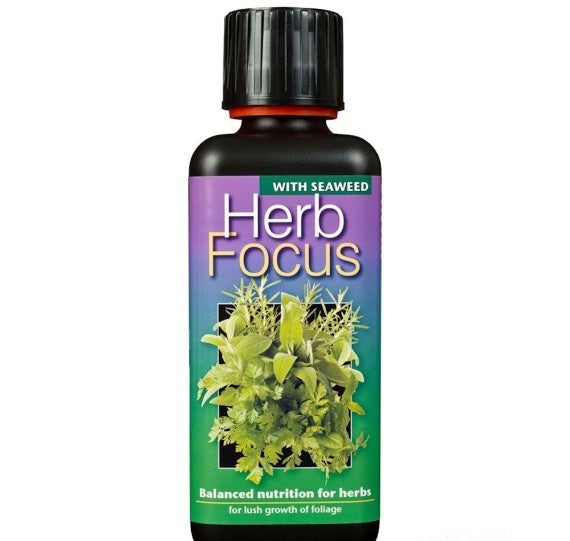HERB FOCUS 300 ML