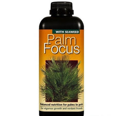 PALM FOCUS 1 LITER