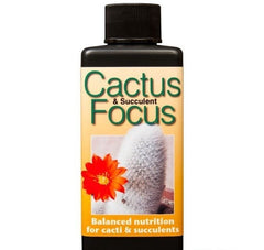 CACTUS & SUCCULENT FOCUS 300 ML