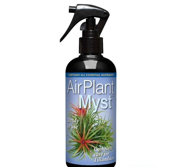 AIR PLANT MYST 300 ML