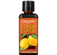 ORGANIC CITRUS FOCUS 300 ML