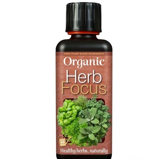 ORGANIC HERB FOCUS 300 ML