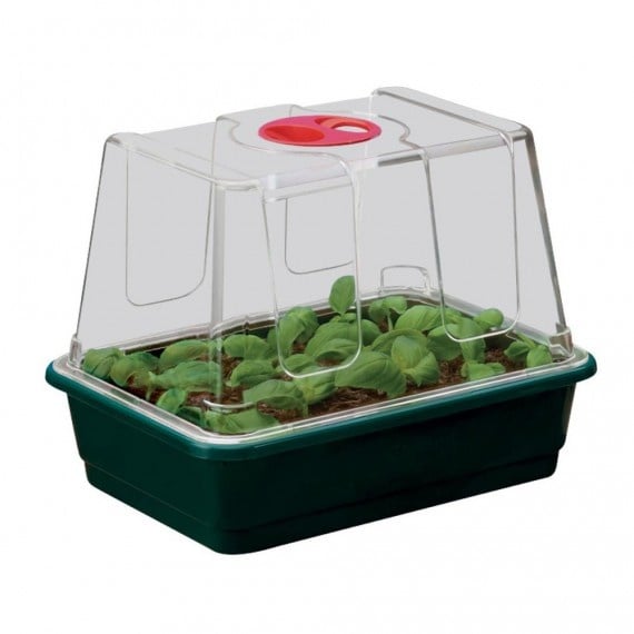 KLEINE HIGH DOME PROPAGATOR 23X17X18CM