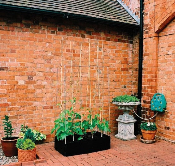 MINI KWEEKBAK MET KLIMFRAME