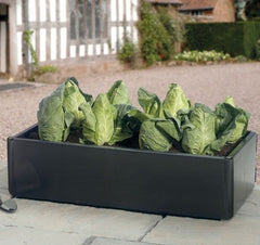  MINI KWEEKBAK 97,5 X 50 X 25 CM