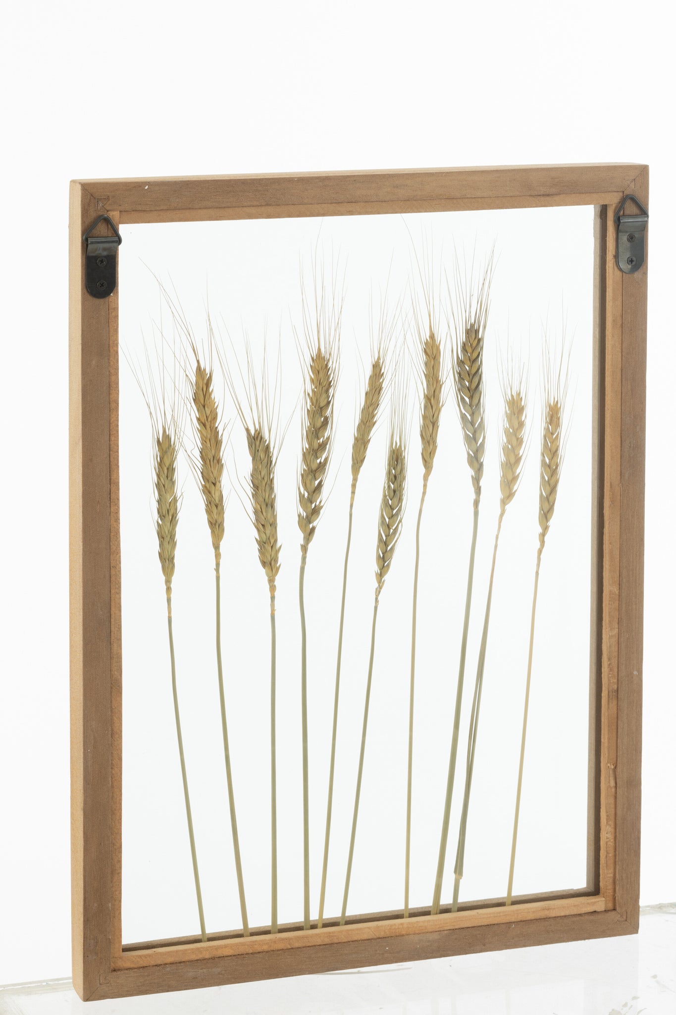 J-LINE WANDDECORATIE CEREAL GRENS DENNENHOUT/GLAS TRANSPARANT/BRUIN (SET VAN 2)