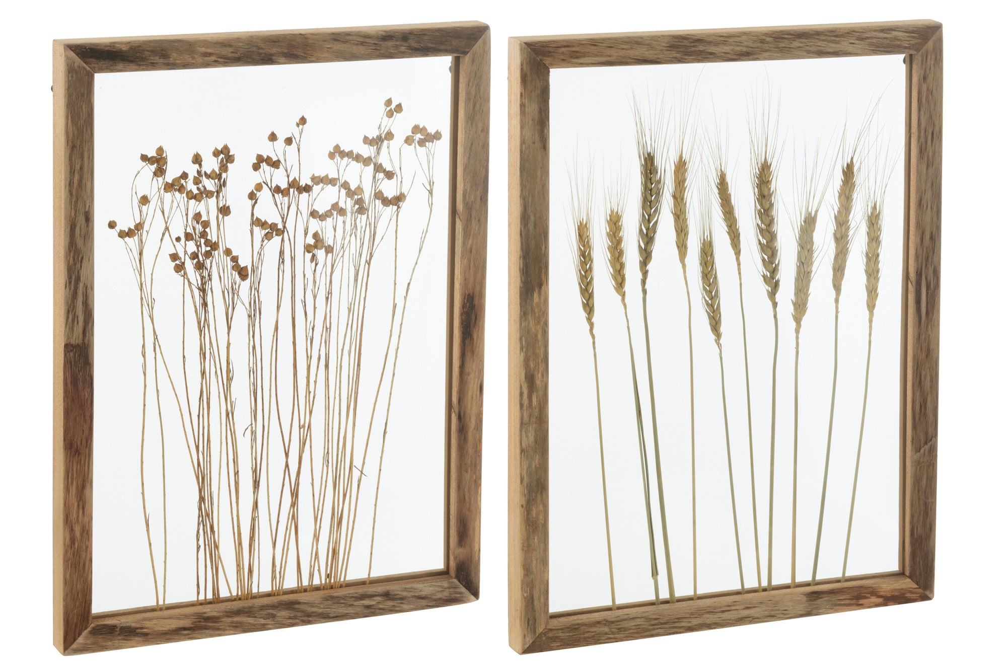 J-LINE WANDDECORATIE CEREAL GRENS DENNENHOUT/GLAS TRANSPARANT/BRUIN (SET VAN 2)