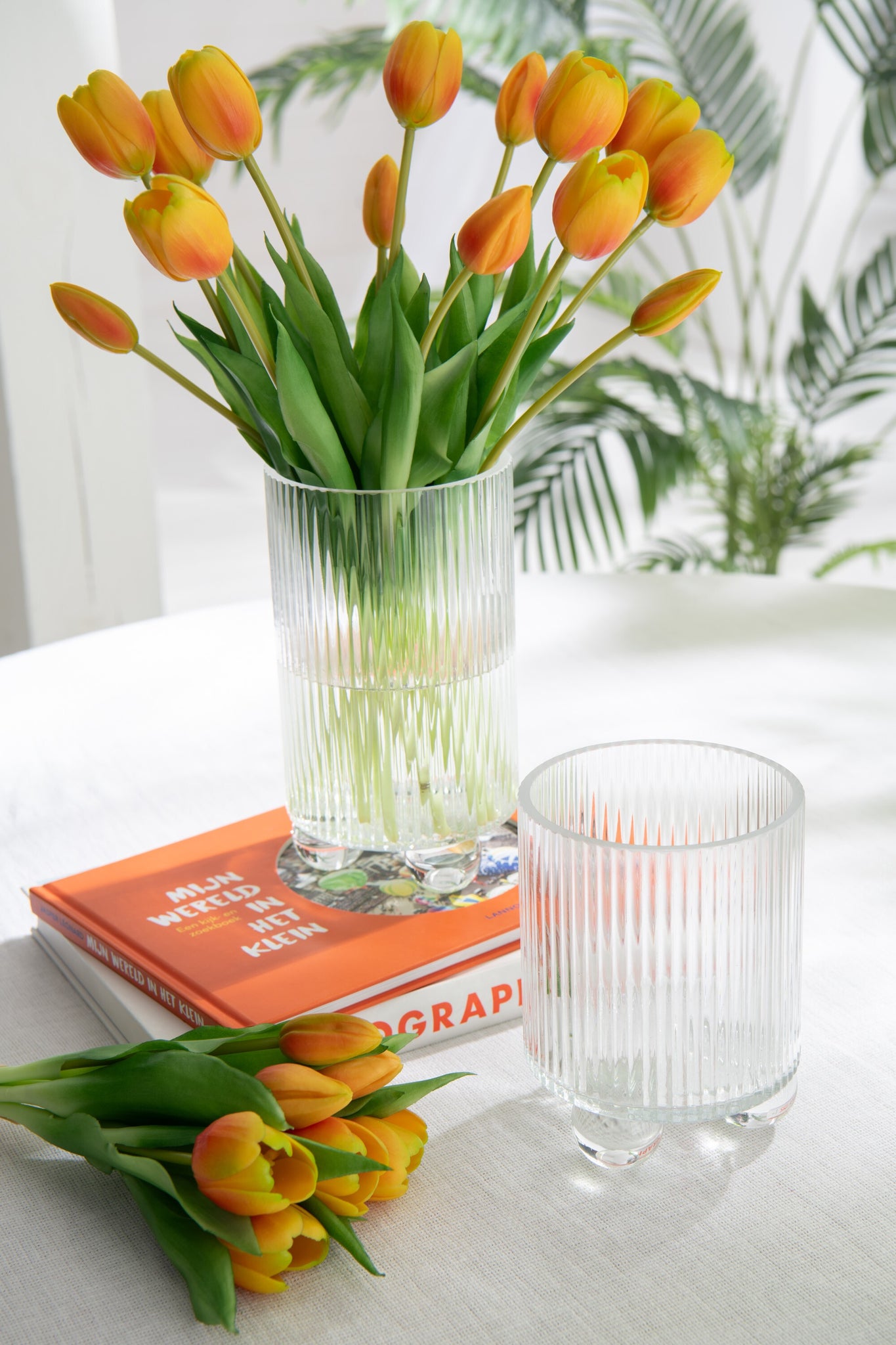 J-LINE HURRICANE CLARA – GLAS TRANSPARANT GROOT - Tuincentrum Lopik