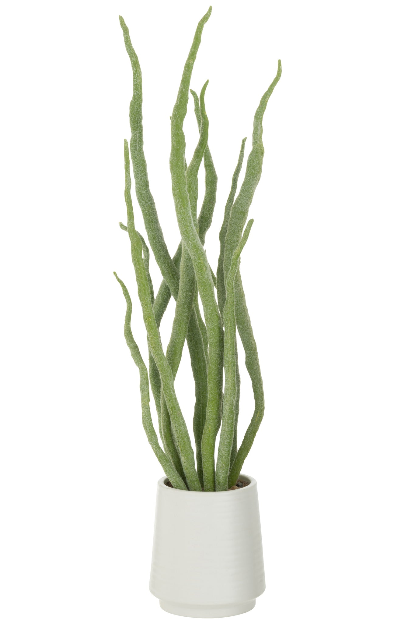J-LINE KUNSTPLANT SUCCULENT IN POT KUNSTGROEN - Tuincentrum Lopik