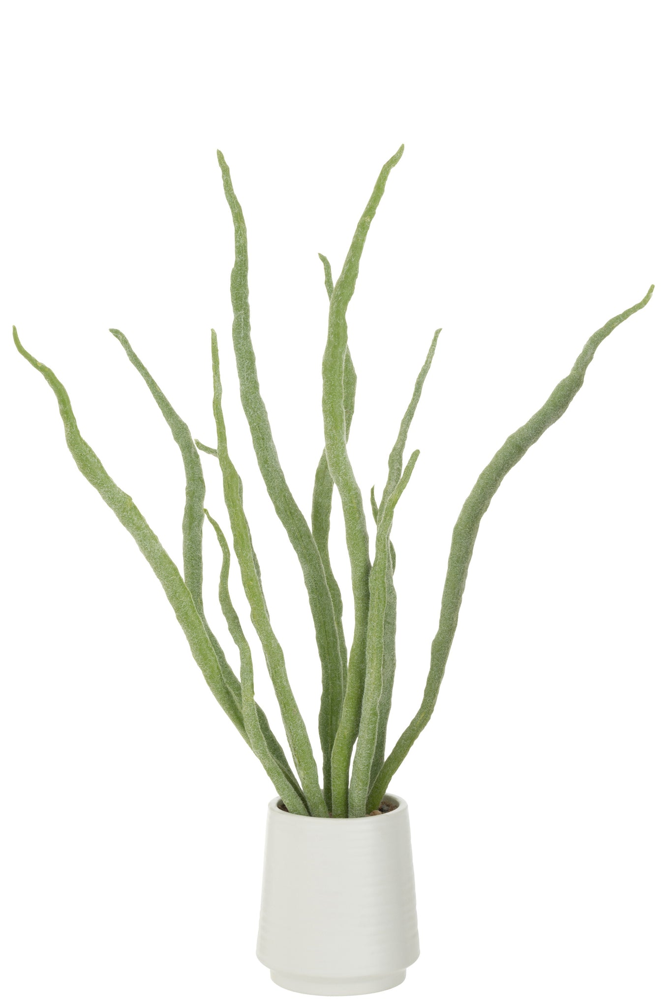 J-LINE KUNSTPLANT SUCCULENT IN POT KUNSTGROEN - Tuincentrum Lopik