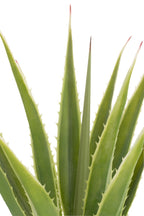 J-LINE AGAVE OFF-WHITE EDGE POT ARTIFICIAL GREEN - Tuincentrum Lopik