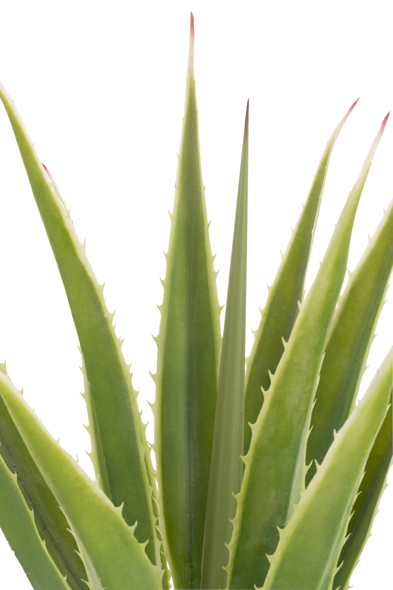 J-LINE AGAVE OFF-WHITE EDGE POT ARTIFICIAL GREEN - Tuincentrum Lopik