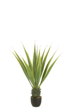 J-LINE AGAVE OFF-WHITE EDGE POT ARTIFICIAL GREEN - Tuincentrum Lopik
