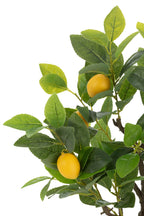 J-LINE CITROENBOOM POT KUNSTMATIG GROEN KLEIN - Tuincentrum Lopik