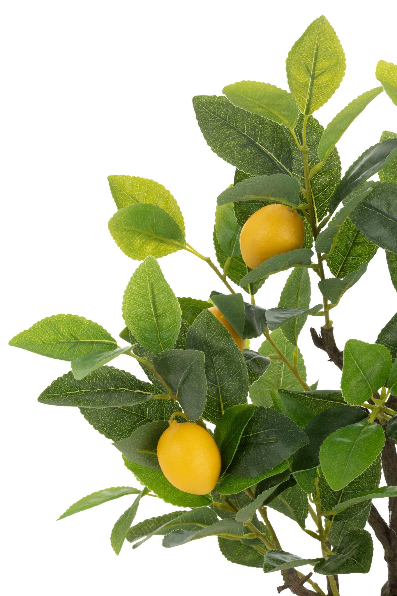 J-LINE CITROENBOOM POT KUNSTMATIG GROEN KLEIN - Tuincentrum Lopik