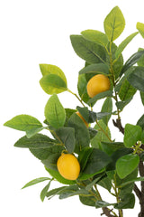 J-LINE CITROENBOOM POT KUNSTMATIG GROEN KLEIN - Tuincentrum Lopik