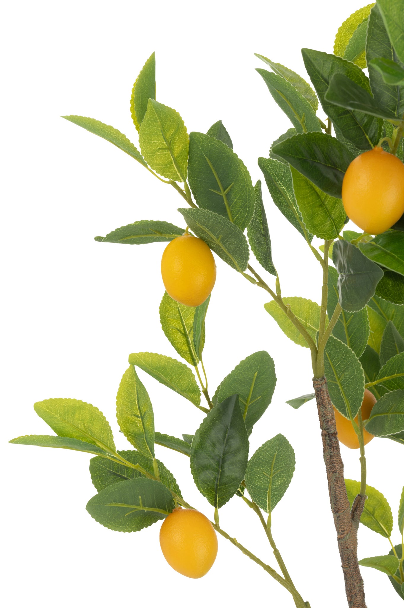 J-LINE CITROENBOOM POT KUNSTMATIG GROEN GROOT - Tuincentrum Lopik
